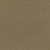 Perpetual Move Residential Carpet