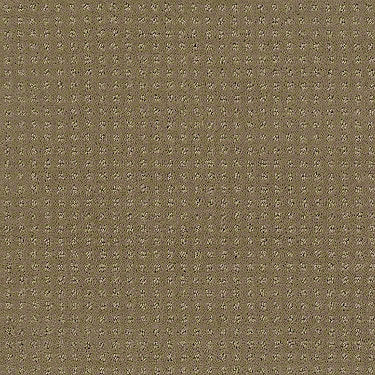 Perpetual Move Residential Carpet