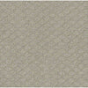 Entwined With You Residential Carpet