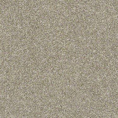 All Over It II Residential Carpet