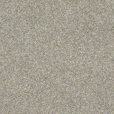 All Over It II Residential Carpet