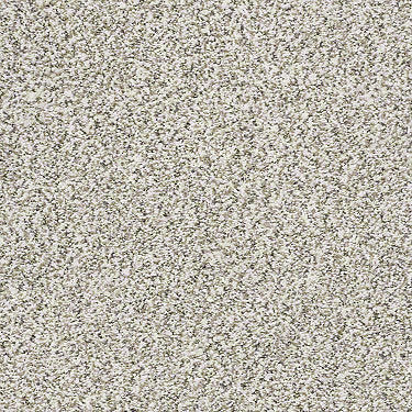 All Set I Net Residential Carpet