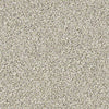 All Set I Net Residential Carpet