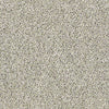 All Set I Net Residential Carpet