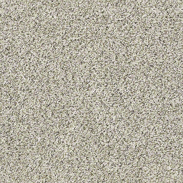 All Set I Net Residential Carpet