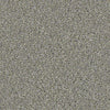 All Set I Net Residential Carpet