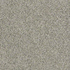 All Set I Net Residential Carpet
