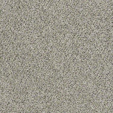 All Set I Net Residential Carpet