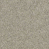 All Set I Net Residential Carpet