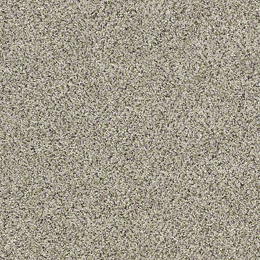 All Set I Net Residential Carpet