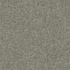 All Set I Net Residential Carpet