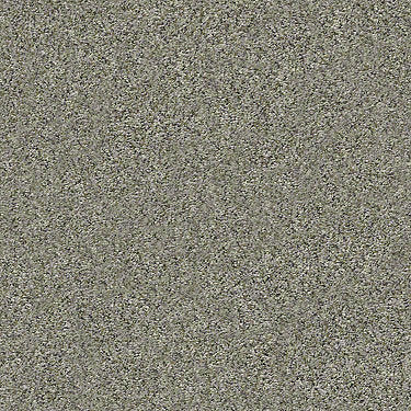 All Set I Net Residential Carpet