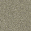 All Set I Net Residential Carpet