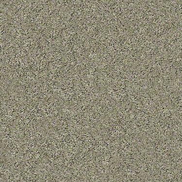 All Set I Net Residential Carpet