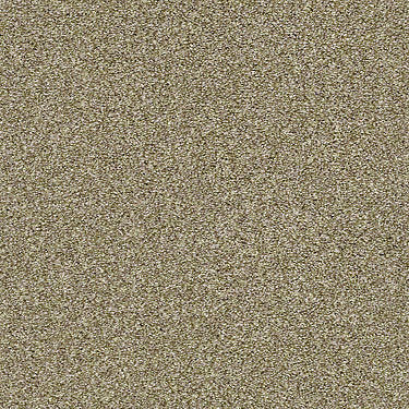 Cabana Bay Tonal Residential Carpet