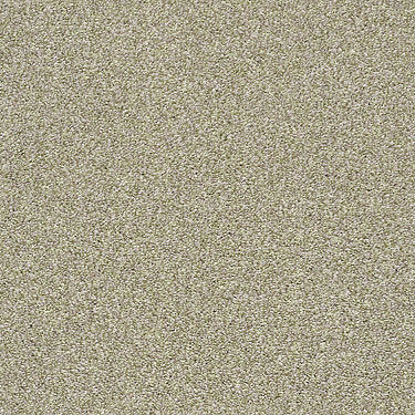 Cabana Bay Tonal Residential Carpet