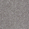 Cool Flair Residential Carpet