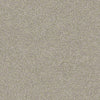 Momentum II Residential Carpet