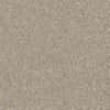 Momentum II Residential Carpet