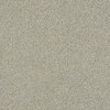 Momentum II Residential Carpet