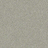 Momentum II Residential Carpet