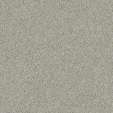 Momentum II Residential Carpet