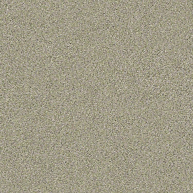Momentum II Residential Carpet