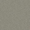 Momentum II Residential Carpet