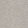 Platinum Texture Accents Residential Carpet