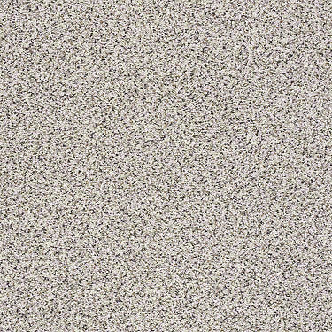 Platinum Texture Accents Residential Carpet
