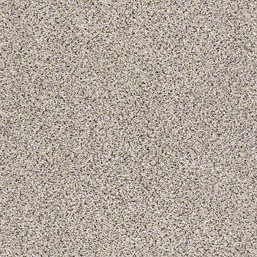 Platinum Texture Accents Residential Carpet