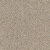 Platinum Texture Accents Residential Carpet