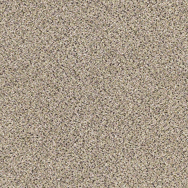 Platinum Texture Accents Residential Carpet