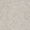 Platinum Texture Accents Residential Carpet