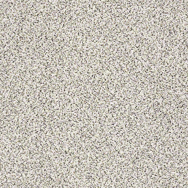 Platinum Texture Accents Residential Carpet