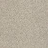 Platinum Texture Accents Residential Carpet