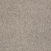 Platinum Texture Accents Residential Carpet