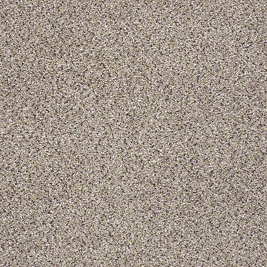 Platinum Texture Accents Residential Carpet