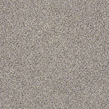 Platinum Texture Accents Residential Carpet