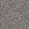 Platinum Texture Accents Residential Carpet