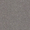 Platinum Texture Accents Residential Carpet