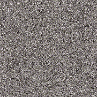 Platinum Texture Accents Residential Carpet