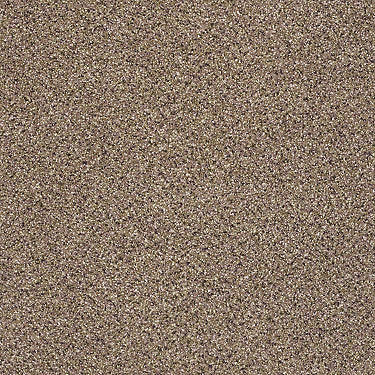 Platinum Texture Accents Residential Carpet