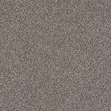 Platinum Texture Accents Residential Carpet