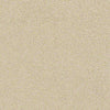 Find Your Comfort Ns I Residential Carpet