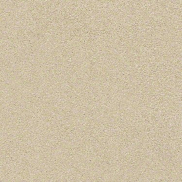 Find Your Comfort Ns I Residential Carpet