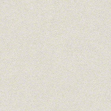 Find Your Comfort Ns I Residential Carpet