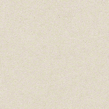 Find Your Comfort Ns I Residential Carpet