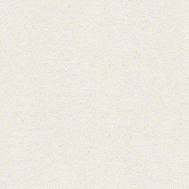 Find Your Comfort Ns I Residential Carpet