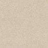 Find Your Comfort Ns I Residential Carpet
